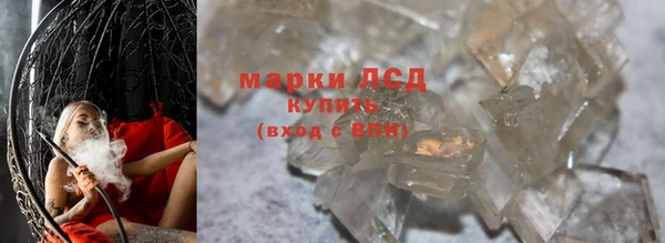 spice Покачи