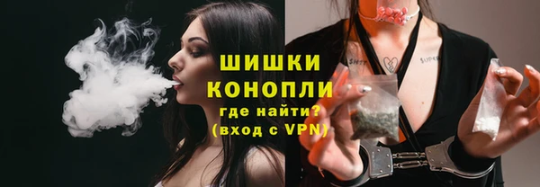 spice Покачи