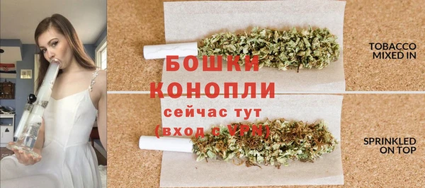 индика Пересвет