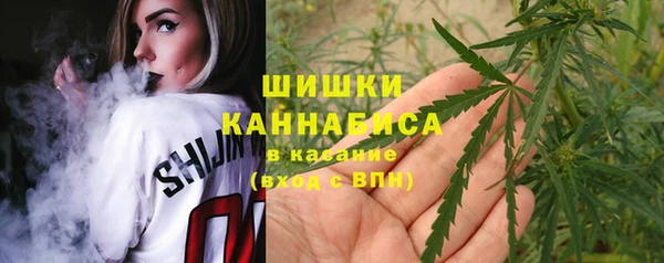spice Покачи