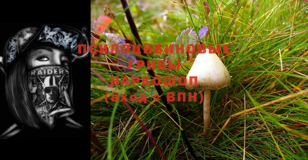 прущая мука Покров