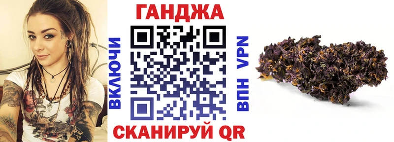 Бошки Шишки сатива  Купить закладки  Кировск 